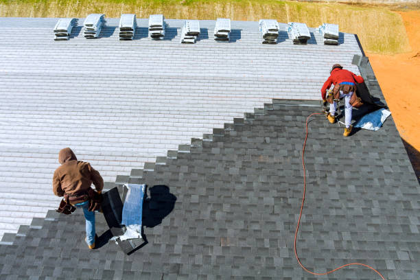 Best Storm Damage Roof Repair  in Niagara, WI
